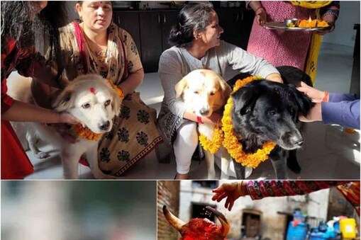 నేపాల్ లో ఐదు రోజుల పాటు దీపావళి వేడుకలు