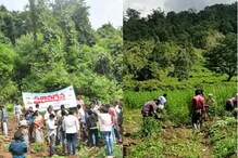 Operation Ganja: గంజాయి సాగుపై ఉక్కు పాదం.. గిరిజనుల ప్రతిఘటన మధ్యే 800 ఎకరాలు ధ్వంసం..