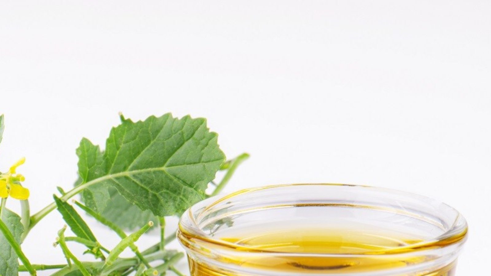 Mustard Oil కల్తీ ఆవ నూనెతో ఎన్నో అనారోగ్య సమస్యలు.. మరి స్వచ్ఛమైన