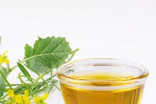 Mustard Oil: కల్తీ ఆవ నూనెతో ఎన్నో అనారోగ్య సమస్యలు..మరి స్వచ్ఛమైన నూనెను ఎలా గుర్తించాలి?