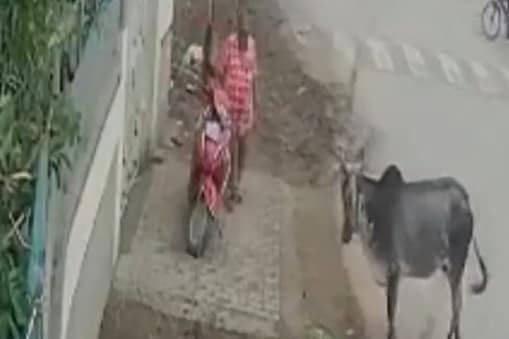 ఫుటేజ్‌లోని దృశ్యం