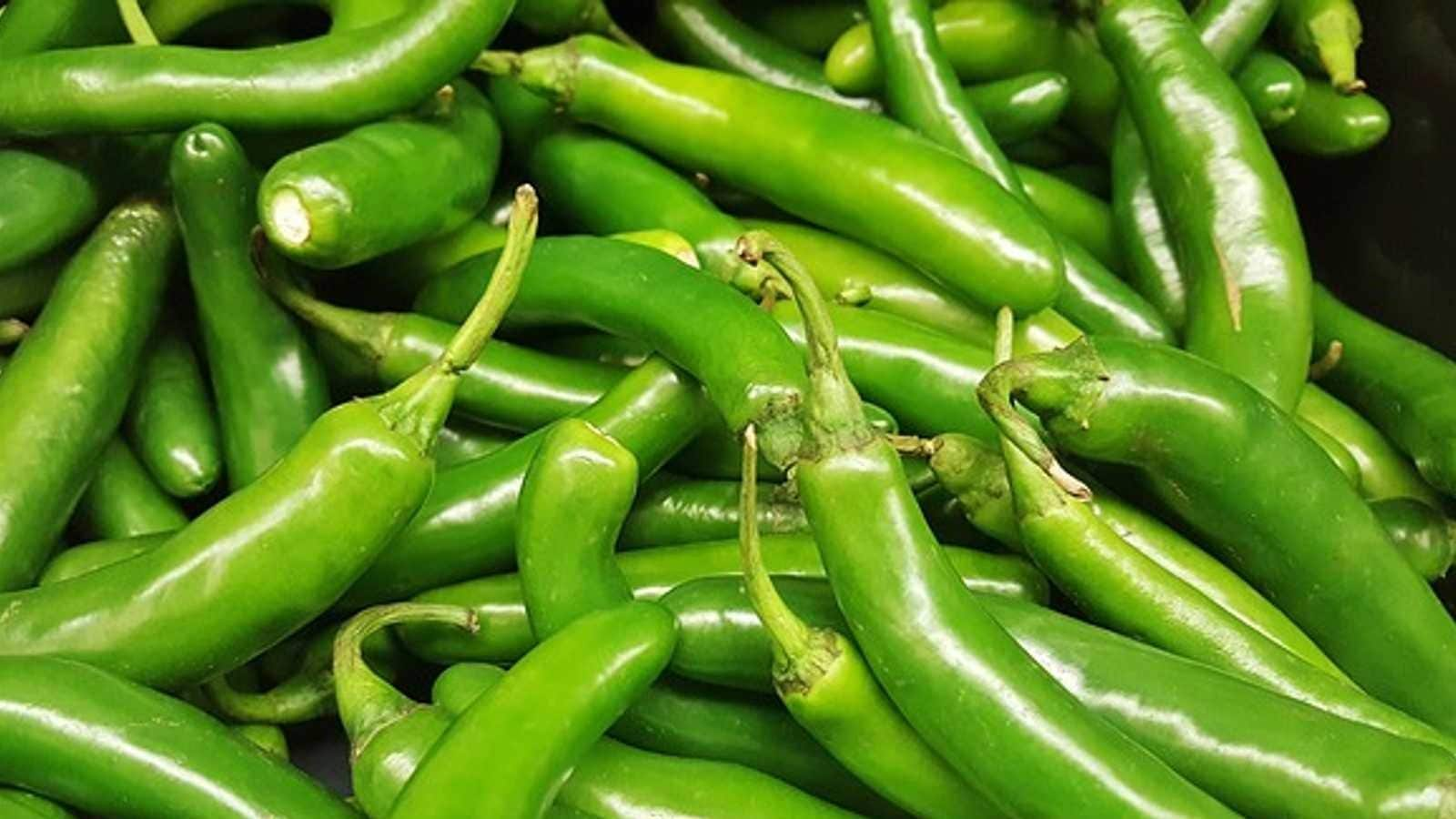 green-chillies-have-green-chillies-everyday-to-avoid-these-health