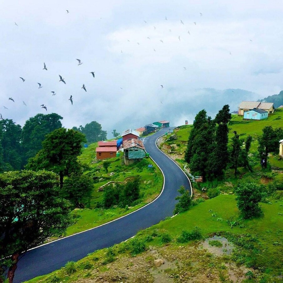  Travel Tips: చోప్తా, ఉత్తరాఖండ్ ప్రకృతి ప్రేమికులకు సరైన గమ్యస్థానం. హిమాలయాల దిగువ ప్రాంతంలో సముద్ర మట్టానికి 8790 అడుగుల ఎత్తులో ఉంది. మీరు హిమాలయాల అందాలు, దట్టమైన అటవీ మార్గాలు మరియు చల్లని వాతావరణంలో రోజులు ఆనందించవచ్చు. (Holiday plan trip to india)