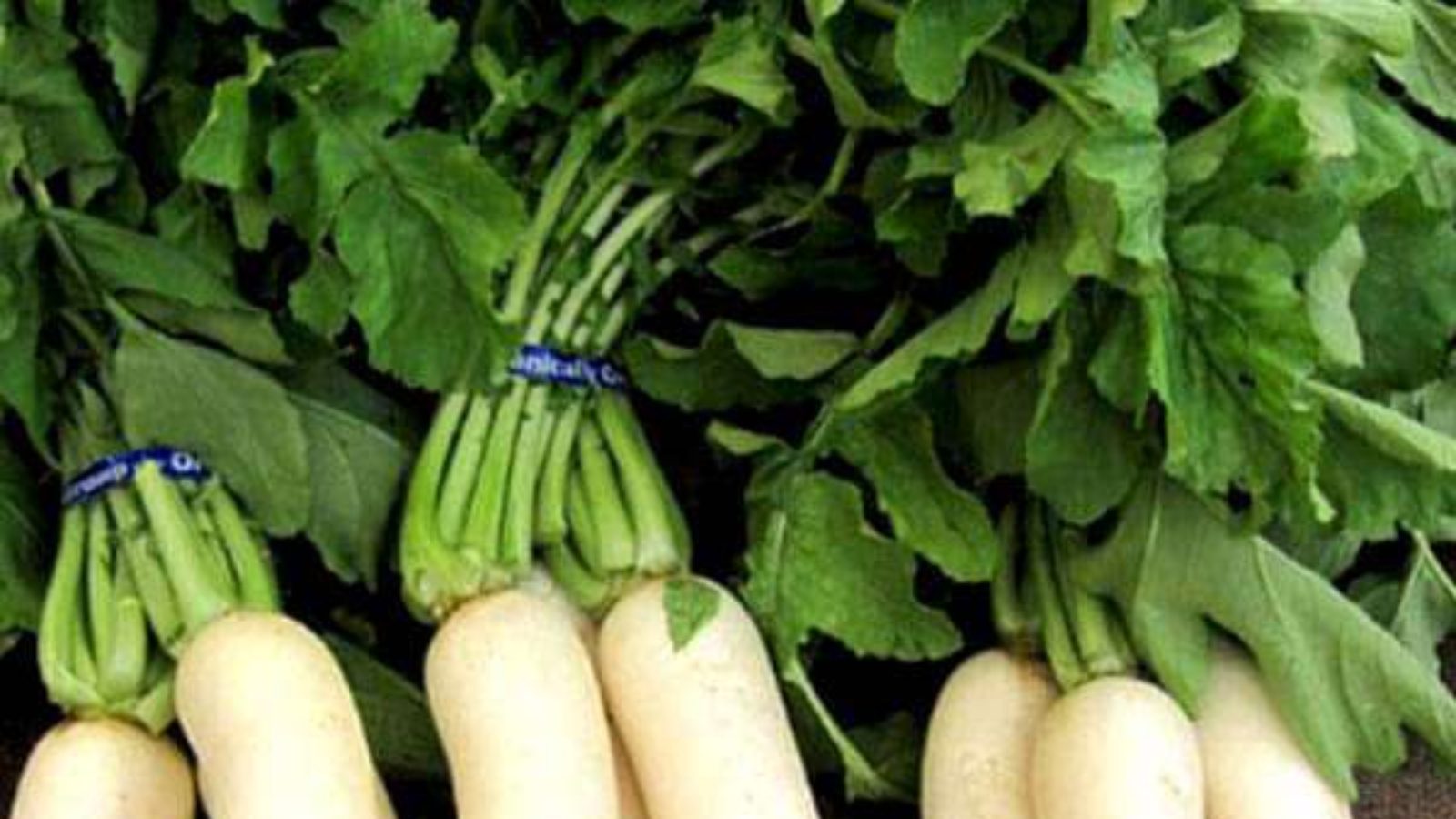 Health Benefits Of Radish Leaves Juice ముల్లంగి ఆకుల రసం తాగితే కలిగే