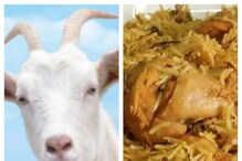 Madhya Pradesh: డైలీ చికెన్‌ బిర్యానీ లాగిస్తున్న మేక