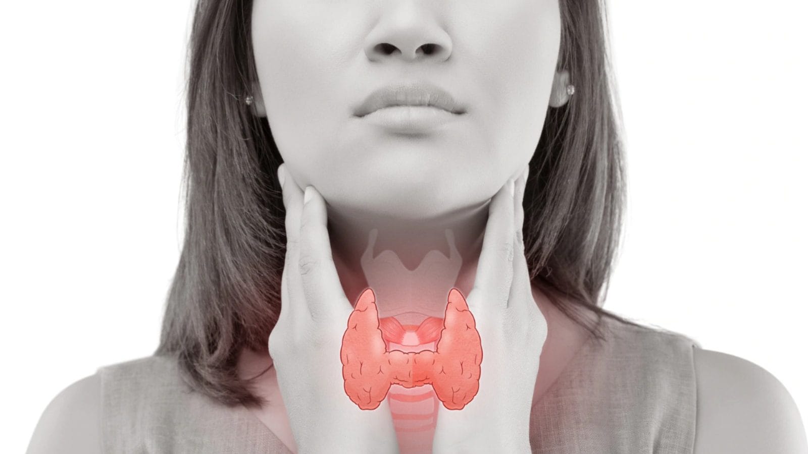 эндокринная система человека вилочковая железа. щитовидная железа лечение в израиле. диффузный токсический зоб. тиреоидит хашимото щитовидной. эндокринолог фотосток.