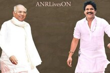 అక్కినేని నాగేశ్వరరావు , నాగార్జున ఎన్ని సినిమాల్లో స్క్రీన్ షేర్ చేసుకున్నారో తెలుసా.. అక్కినేని నాగేశ్వరరావు , నాగార్జున ఎన్ని సినిమాల్లో స్క్రీన్ షేర్ చేసుకున్నారో తెలుసా..