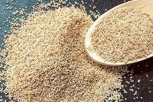 Poppy Seeds: గసగసాలతో బోలెడు ప్రయోజనాలు.. అలాగని ఎక్కువగా తీసుకుంటే తీరని నష్టమే..