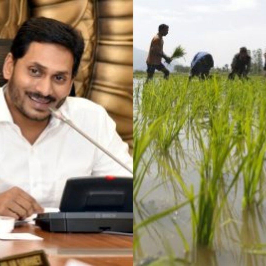  ఆంధ్రప్రదేశ్ (Andhra Pradesh) ప్రభుత్వం రైతుల కోసం మరో కొత్తపథకాన్ని అమలుచేస్తోంది. ఇప్పటికే రైతు భరోసా (Rythu Bharosa), నష్టం వచ్చిన సీజన్ లోనే పరిహారం, వడ్డీలేని రుణాలు అందిస్తున్న ప్రభుత్వం.. రైతులకు వ్యవసాయ పరికరాలను సబ్సిడీపై అందజేయనుంది. రైతు భరోసా కేంద్రాల ద్వారా వ్యవసాయ పరికరాలు, ట్రాక్టర్లు, డ్రోన్లు ఇస్తామని సీఎం జగన్ గతంలోనే ప్రకటించారు. (ప్రతీకాత్మకచిత్రం)