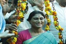 YS Sharmila : వనదేవతలను దర్శించుకున్న వైఎస్ షర్మిల.. సమ్మక్క స్పూర్తితో సీఎం కేసీఆర్‌పై