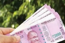Business Ideas: రూ.30వేల పెట్టుబడికి.. 72 లక్షల ఆదాయం.. రైతుల పాలిట వరం