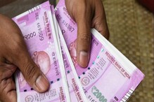 Business Ideas: గ్రామీణ యువతకు చక్కటి అవకాశం..ఈ పంటలో భారీగా ఆదాయం