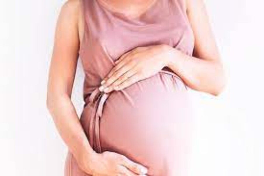  దలియా..,[object Object],ఎక్కువ శాతం ఫైబర్‌ (fiber) అండే ఈ ఆహారాన్ని తీసుకోవడం వల్ల గర్భవతులకు ఎంతో అవసరం. ఇది ప్రెగ్నెంట్‌ సమయంలో వచ్చే డయాబెటీస్‌ రాకుండా కాపాడుతుంది.