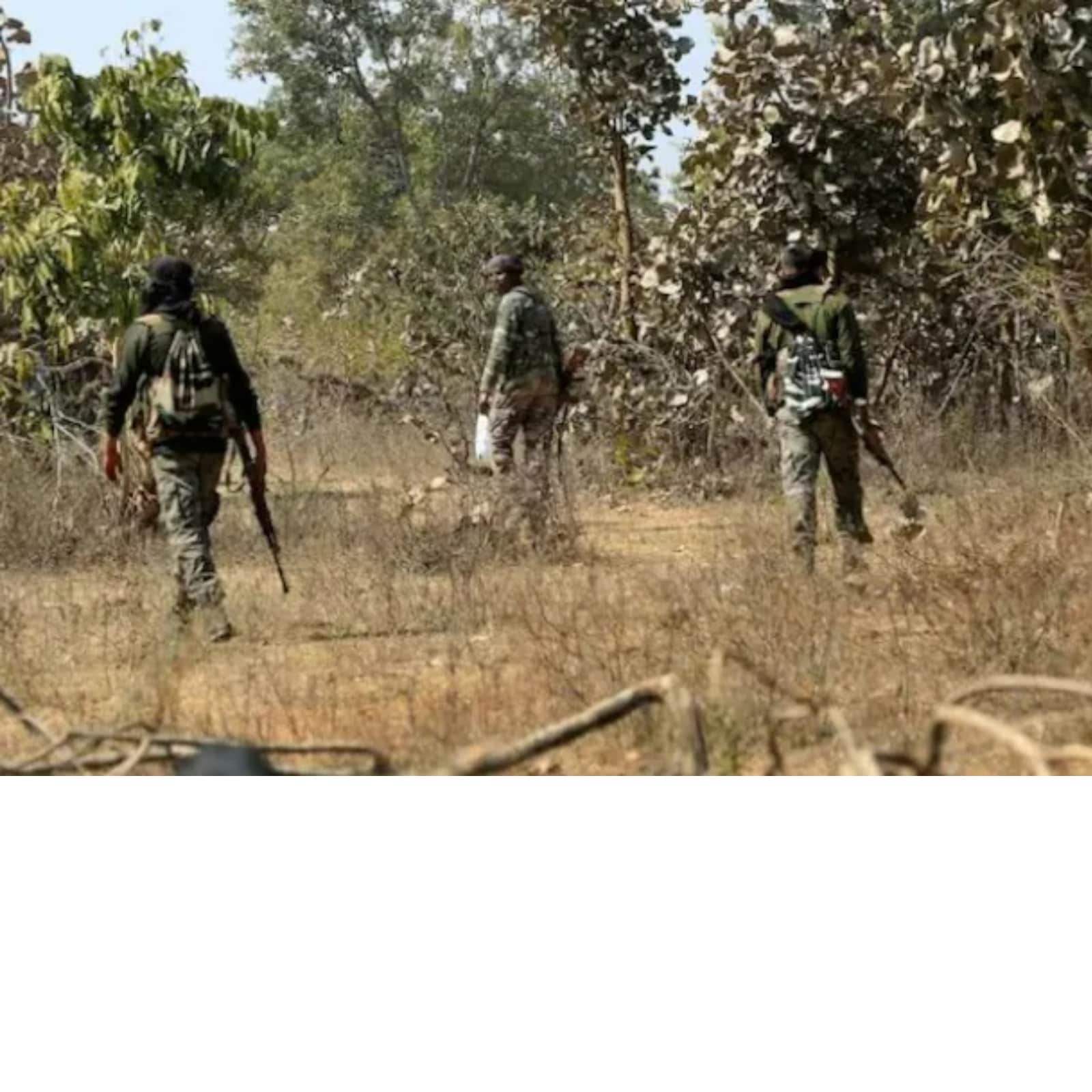 maharashtra encounter, gadchiroli encounter, telanagana news, ts news updates, adellu bhaskar wife killed, మహారాష్ట్రలో ఎన్‌కౌంటర్, అడెల్లు భార్య మృతి, తెలంగాణ న్యూస్