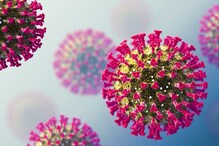 Virus Worry: భారత్‌పై మళ్లీ వైరస్ దండయాత్ర..తెలంగాణ,తమిళనాడులో రెండు కొత్త వేరియంట్ కేసులు