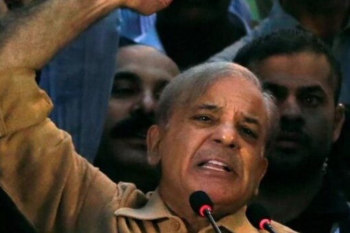 పాకిస్థాన్ ప్రధానమంత్రి షెహబాజ్ షరీఫ్ (ఫైల్ ఫోటో)
