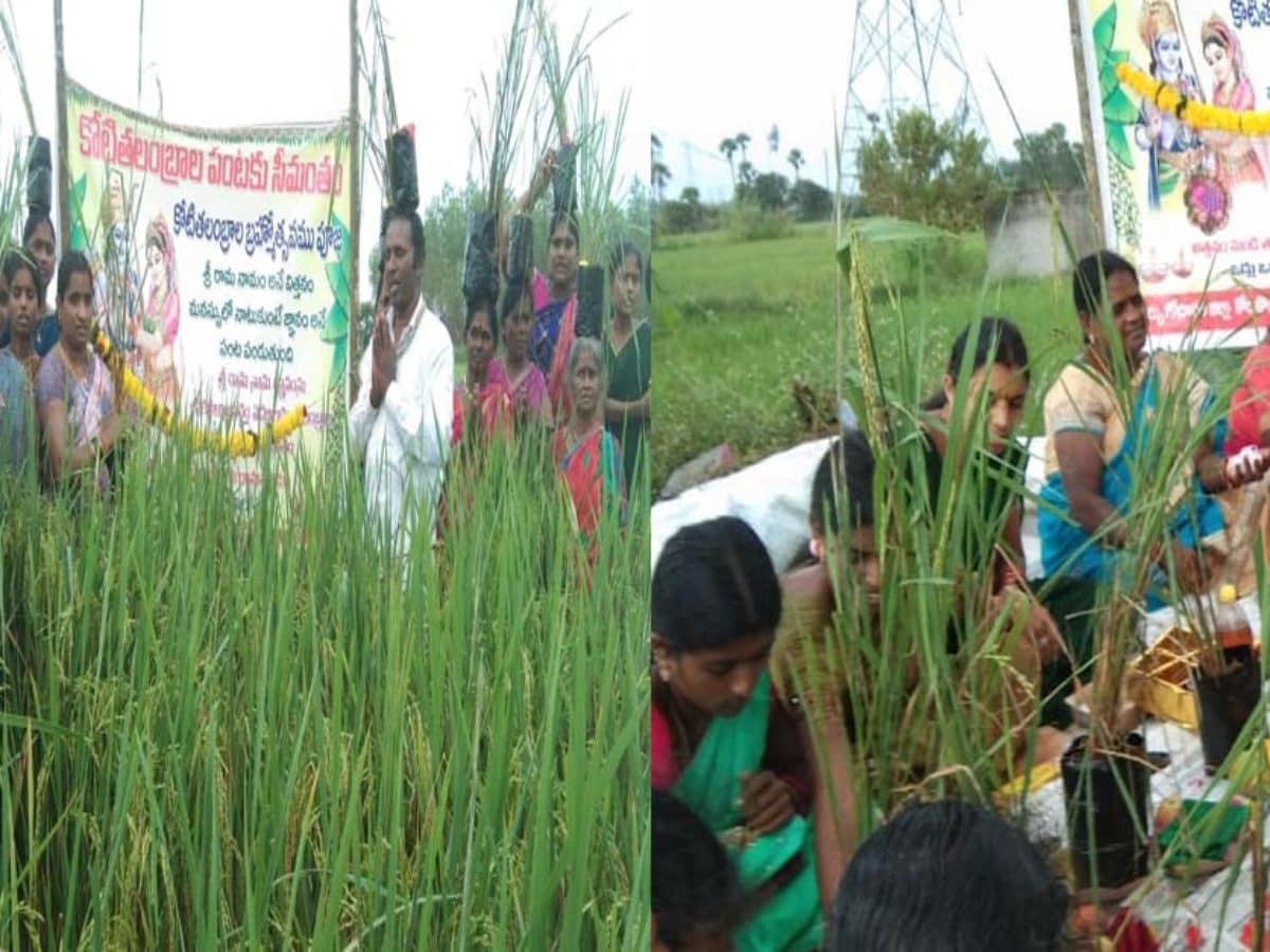 Srirama Navami: భద్రాది రామయ్యకు గోటి తలంబ్రాలు రెడీ.. వీటి ప్రత్యేకత ఏంటో  తెలుసా..? | - News18 తెలుగు