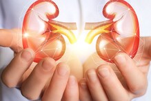 Healthy Kidneys: ఎవరికైనా కిడ్నీ సమస్యలు వేధిస్తున్నాయా..? ఈ ఏడు టిప్స్ పాటించండి..