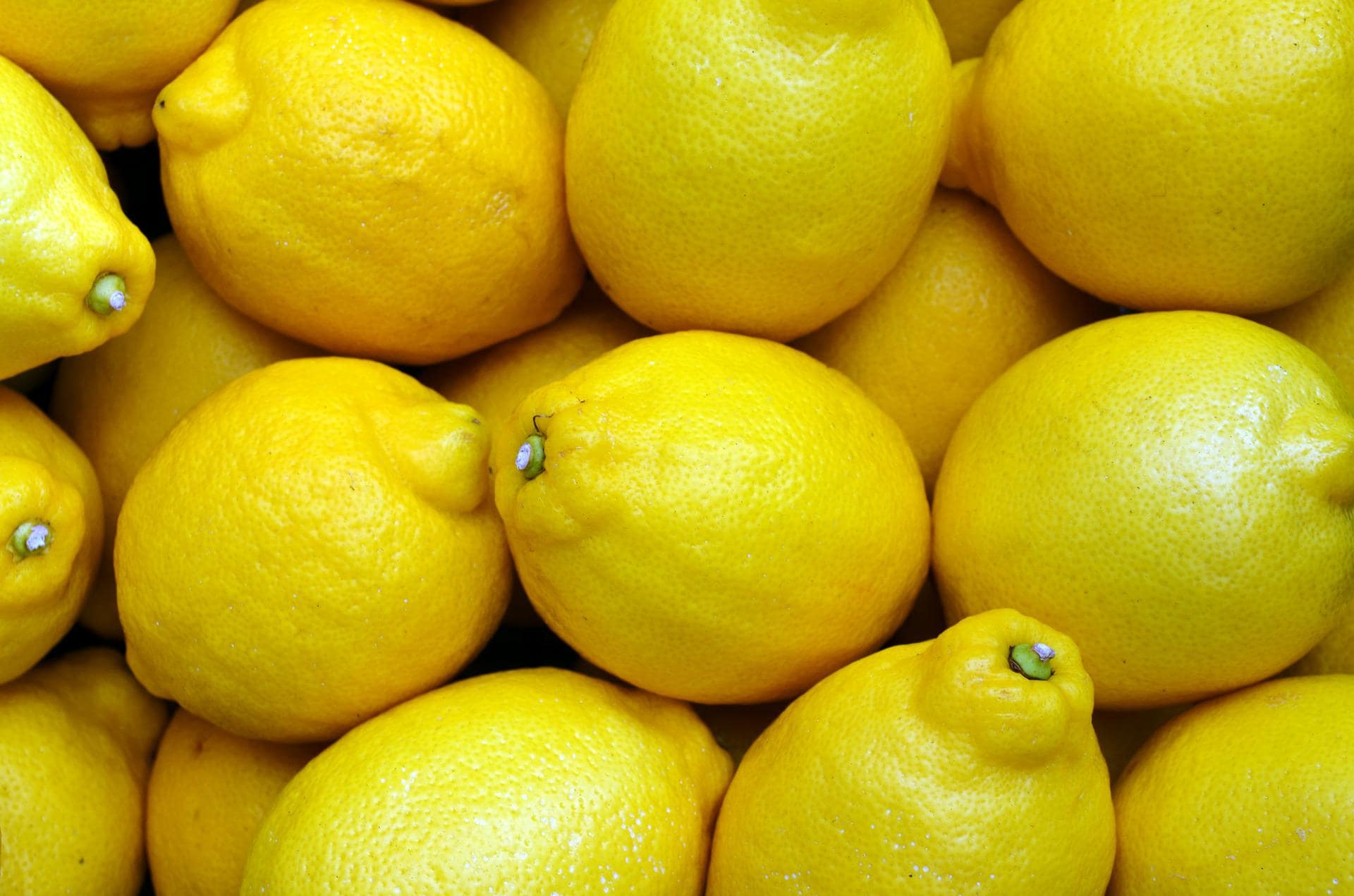 Foods You Must Consume Foods During the Monsoon Season! 9 lemons