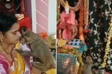 Jai Sri Ram: శ్రీరామ నవమి వేడుకల్లో వానరం సందడి.. స్వామి దగ్గరకు వచ్చి ఏం చేసిందో చూడండి