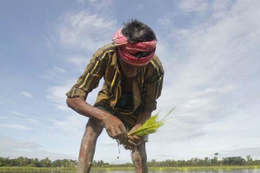 PM Kisan Scheme: పీఎం కిసాన్ స్కీమ్ 11వ ఇన్‌స్టాల్‌మెంట్... లబ్ధిదారుల జాబితా చెక్ చేయండిలా
(ప్రతీకాత్మక చిత్రం)