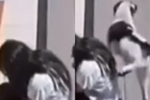 Viral Video: అయ్ పాయ్.. అమ్మాయి మీద ఆ పనికానిచ్చిన శునకం.. వైరల్ అవుతున్న ఫన్నీ వీడియో..