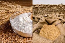 Wheat: పెట్రోల్కు పోటీగా గోధుమపిండి ధర.. కేంద్రం సంచలన నిర్ణయం.. గోధుమల ఎగుమతిపై నిషేధం Wheat: పెట్రోల్కు పోటీగా గోధుమపిండి ధర.. కేంద్రం సంచలన నిర్ణయం.. గోధుమల ఎగుమతిపై నిషేధం