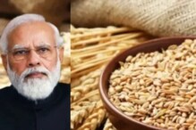 Wheat: ఇండియా గోధుమలపై ప్రపంచం గగ్గోలు.. ఎగుమతిపై నిషేధం సడలింపు.. ఈజిప్టుకు 1.67 టన్నులు