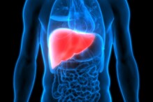 Liver Nutrition: మీరు మీ కాలేయంపై శ్రద్ధ పెట్టాలి అని చెప్పడానికి కారణాలు ఇవే (Advertisement)