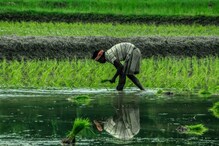 PM Kisan: వచ్చే వారమే పీఎం కిసాన్ నిధుల విడుదల... వారికి డబ్బులు రావు