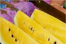 Yellow Water Melon: పసుపు రంగు పుచ్చకాయల్లో అంత పవరుందా..? ఎగబడుతున్న జనం..