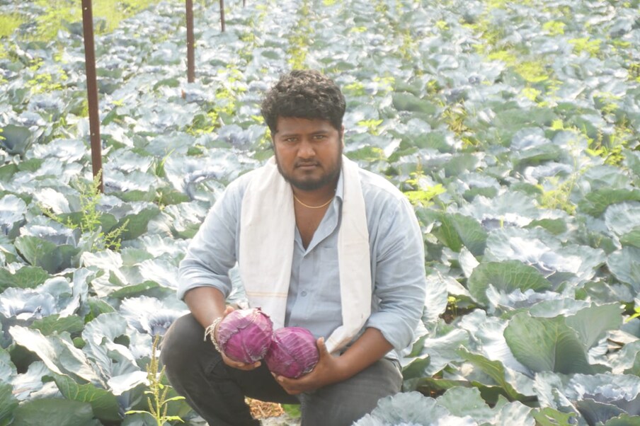  ఆదిలాబాద్ జిల్లా అంటే పత్తి సాగుకు చాలా ఫేమస్. పత్తితో పాటు సోయాబీన్‌తో పాటు మరికొన్ని సంప్రదాయ పంటలు, కూరగాయలను పండిస్తున్నారు జిల్లాకు చెందిన రైతులు. సాగులో కొత్త రకం పంటల్ని పరిచయం చేయాలనేది ఇక్కడి రైతుల ఆలోచన.