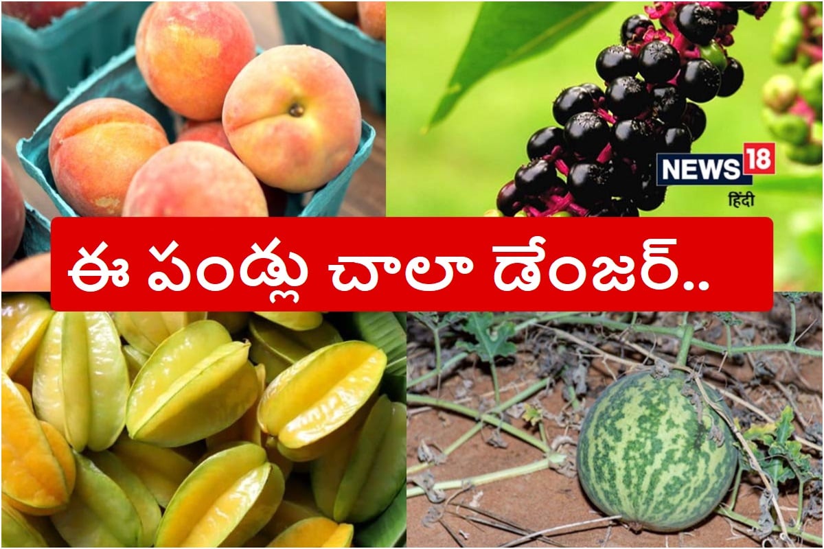 Most Poisonous Fruits: ఈ పండ్లను పొరపాటున కూడా తినకండి.. చాలా డేంజర్ ...