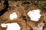 Danger Zone: ప్రశాంతంగా.. ఆహ్లాదంగా ఉన్న ప్రాంతమని అటు వెళ్తున్నారా.? ఒంటరి గావెళ్తే అంతే