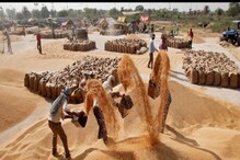 Wheat Production: దేశంలో గోధుమల కొరత.. రబీలో ఈ పంట సాగు పెరిగిందా ?
