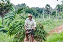 PM Kisan: మీకు ఇంకా పీఎం కిసాన్ డబ్బులు రాలేదా? ఇలా ఫిర్యాదు చేయండి PM Kisan: మీకు ఇంకా పీఎం కిసాన్ డబ్బులు రాలేదా? ఇలా ఫిర్యాదు చేయండి