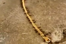 Viral Video: గోల్డ్ చైన్ దొంగతనం చేసిన చీమలు.. ఎంతకు తెగించాయి? వీడియో వైరల్