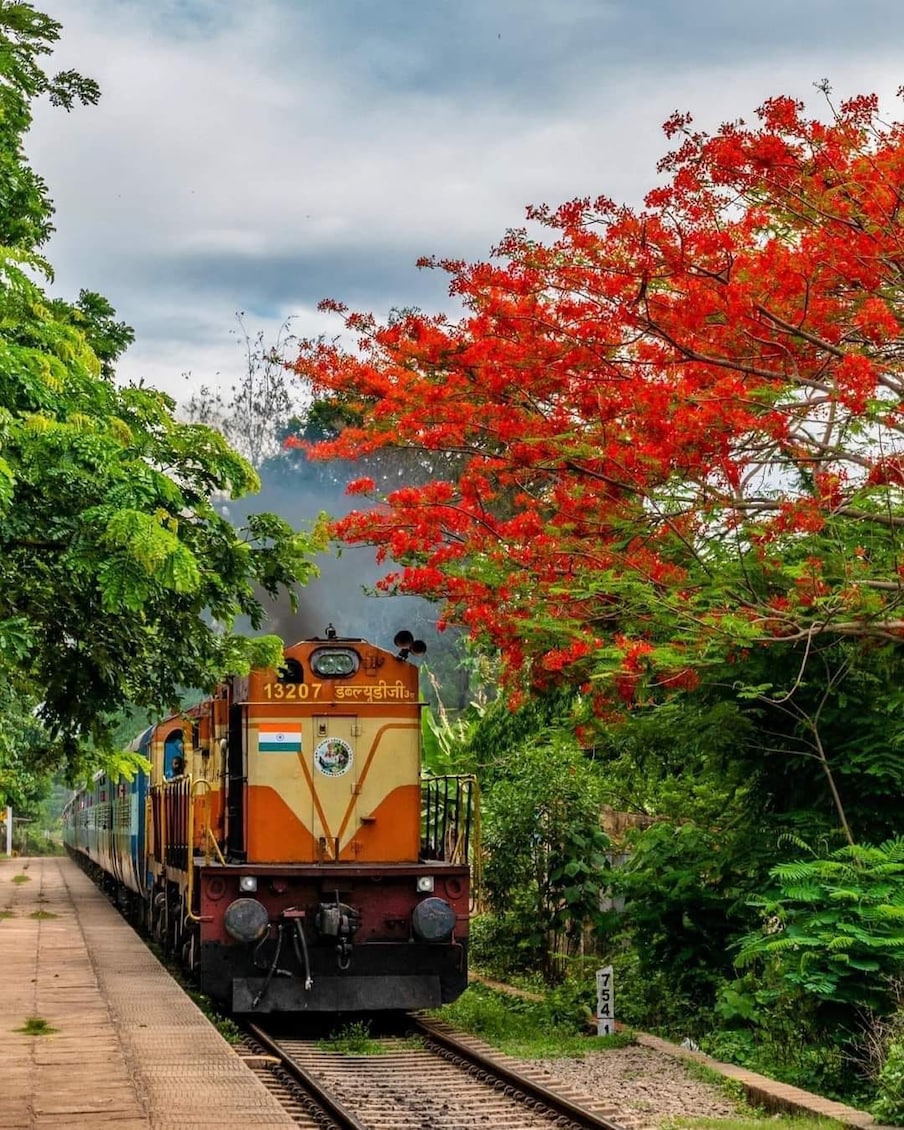  దక్షిణ మధ్య రైల్వే (South Central Railway) ప్రయాణికులకు మరో శుభవార్త చెప్పింది. ప్రయాణికుల రద్దీ దృష్ట్యా వీక్లీ స్పెషల్ ట్రైన్స్ (Special Trains) ను ప్రకటించింది. ఆ రైళ్ల వివరాలు ఇలా ఉన్నాయి. (ఫొటో: ట్విట్టర్)