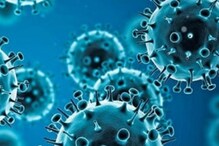 India Covid 19 Update : దేశంలో పెరిగిన కోవిడ్ మరణాలు