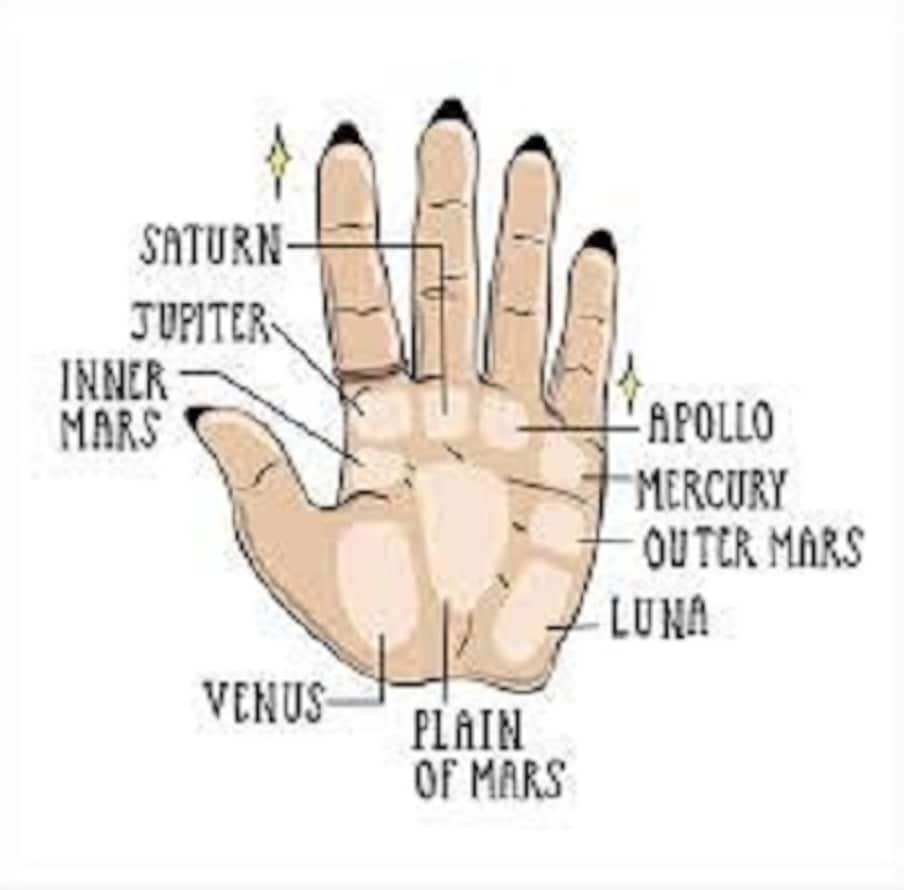 Palmistry: మీరు పదే పదే మోసపోతున్నారా ...
