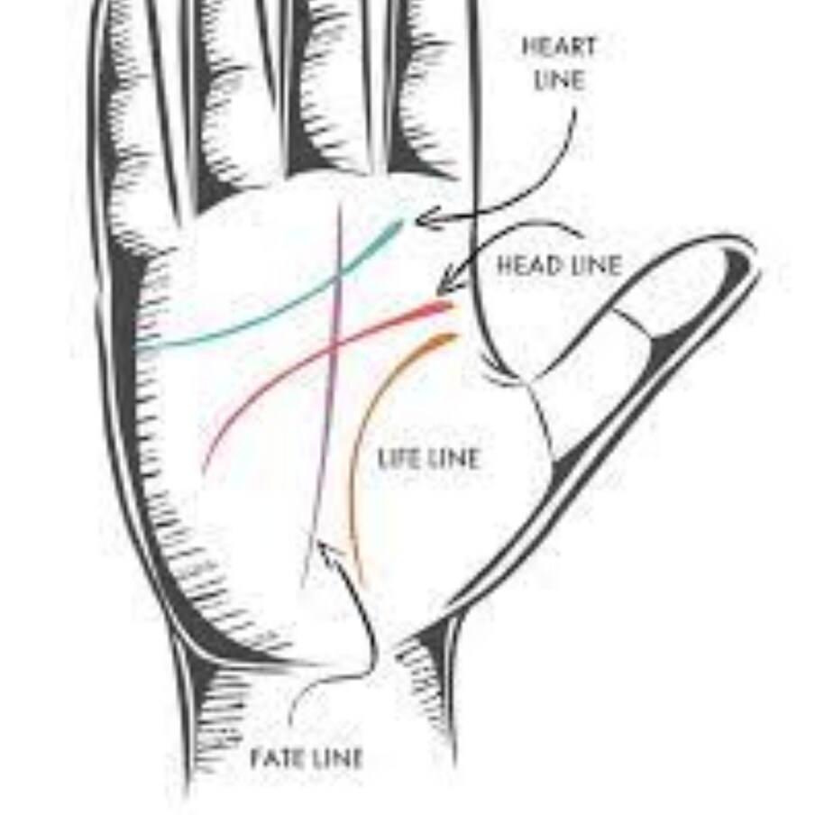 Palmistry: మీరు పదే పదే మోసపోతున్నారా ...