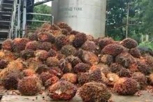 Vizag: వేలల్లో పెట్టుబడి.. లక్షల్లో లాభం.. 30 ఏళ్ల పాటు రాబడి..? ఇంకా ప్రయోజనాలు ఎన్నో