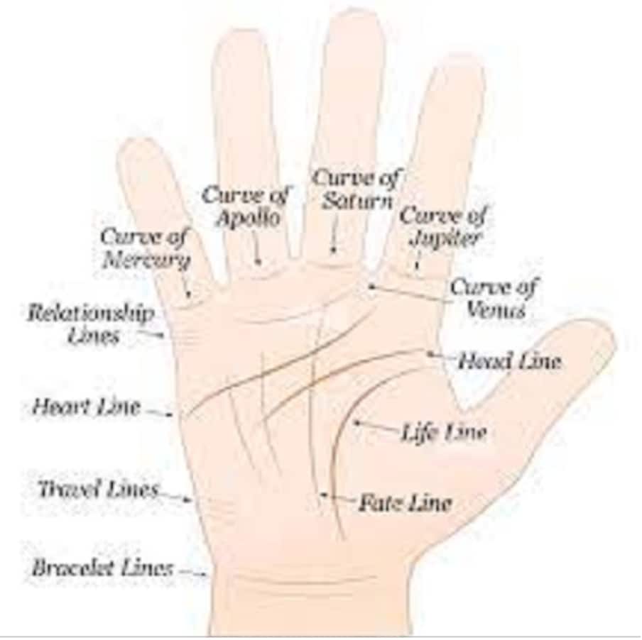 Palmistry : తలరాతను మార్చే ఈ రేఖలు మీ ...