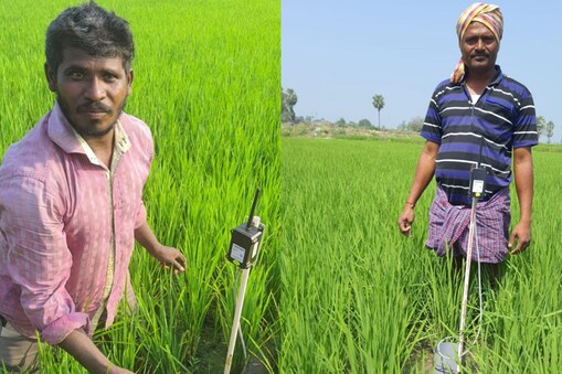 (ఎలక్ట్రిక్ సెన్సార్లతో సాగు)