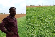 Telangana : పౌష్టికాహారం కోసం పొలం బాట పట్టిన సాఫ్ట్‌వేర్ ఉద్యోగి.. మహర్షి -2