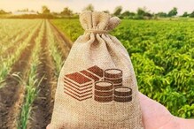 Farmers Can Earn Lacks Of Rupees: రైతులు ఇలా చేస్తే.. తక్కువ కాలంలో లక్షాధికారి కావచ్చు..