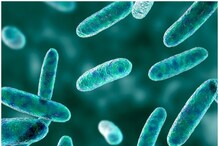 Biofuel: బ్యాక్టీరియా నుంచి బయో ఫ్యూయల్.. రాకెట్లను కూడా లాంచ్ చేయగలిగే సామర్థ్యం.. Biofuel: బ్యాక్టీరియా నుంచి బయో ఫ్యూయల్.. రాకెట్లను కూడా లాంచ్ చేయగలిగే సామర్థ్యం..