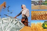MSP : పంటలకు కనీస మద్దతు ధర చట్టం కోసం కమిటీ ఏర్పాటు.. కేంద్రంపై రైతుల అనుమానాలు..