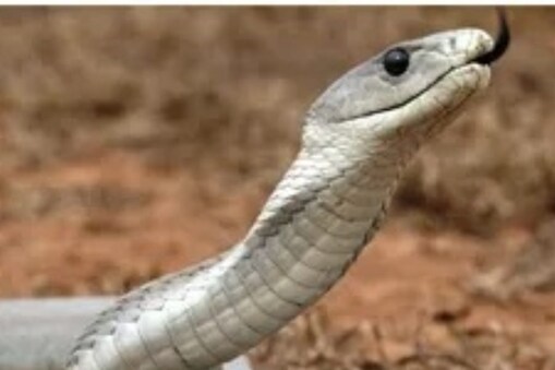 ప్రతీకాత్మక చిత్రం