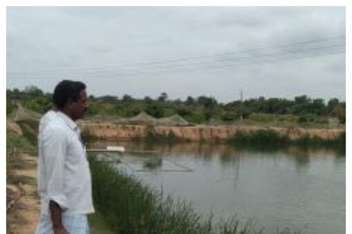 నాగులపల్లిలోని